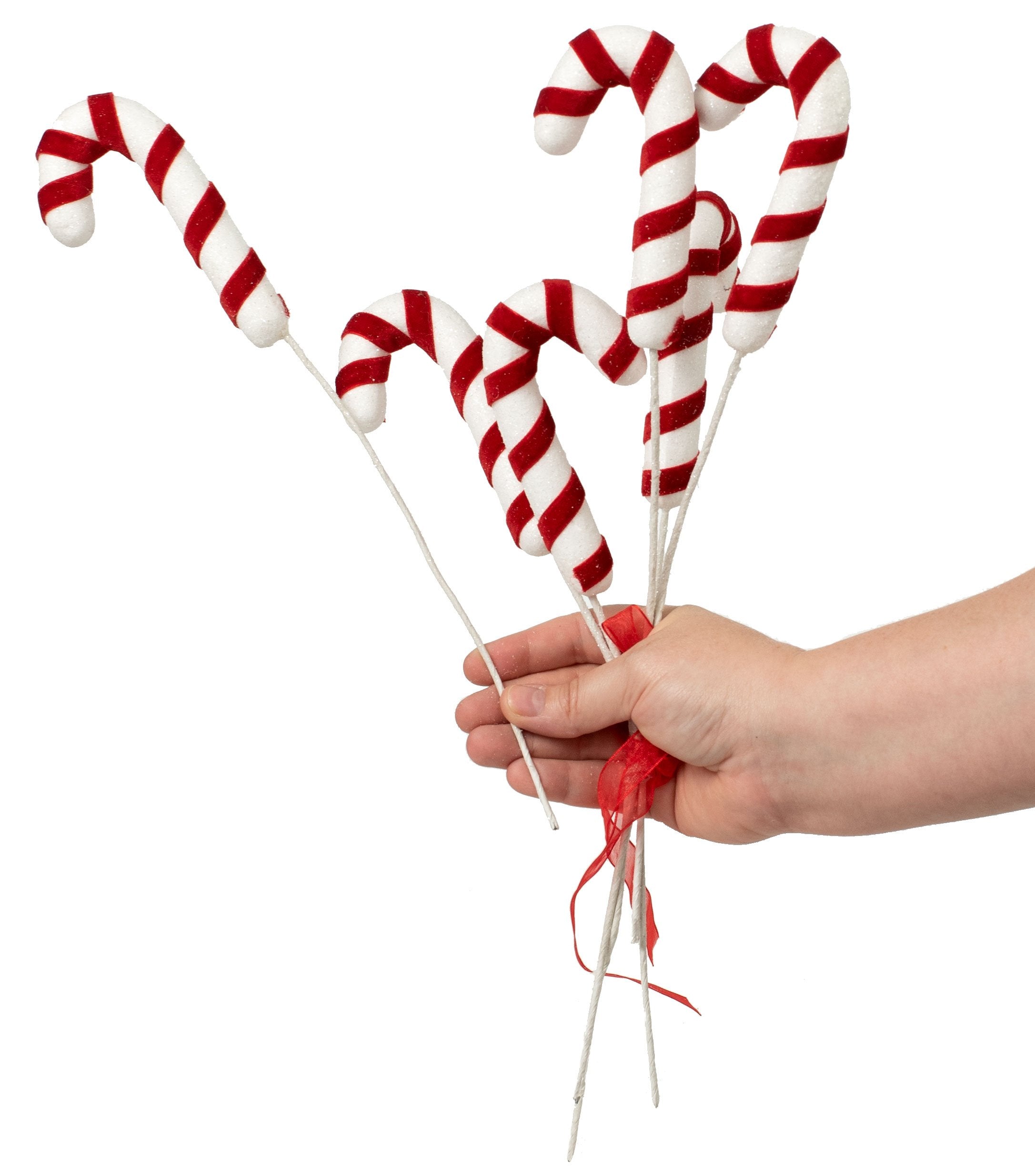 14 Candy Cane Pick Bundle 6