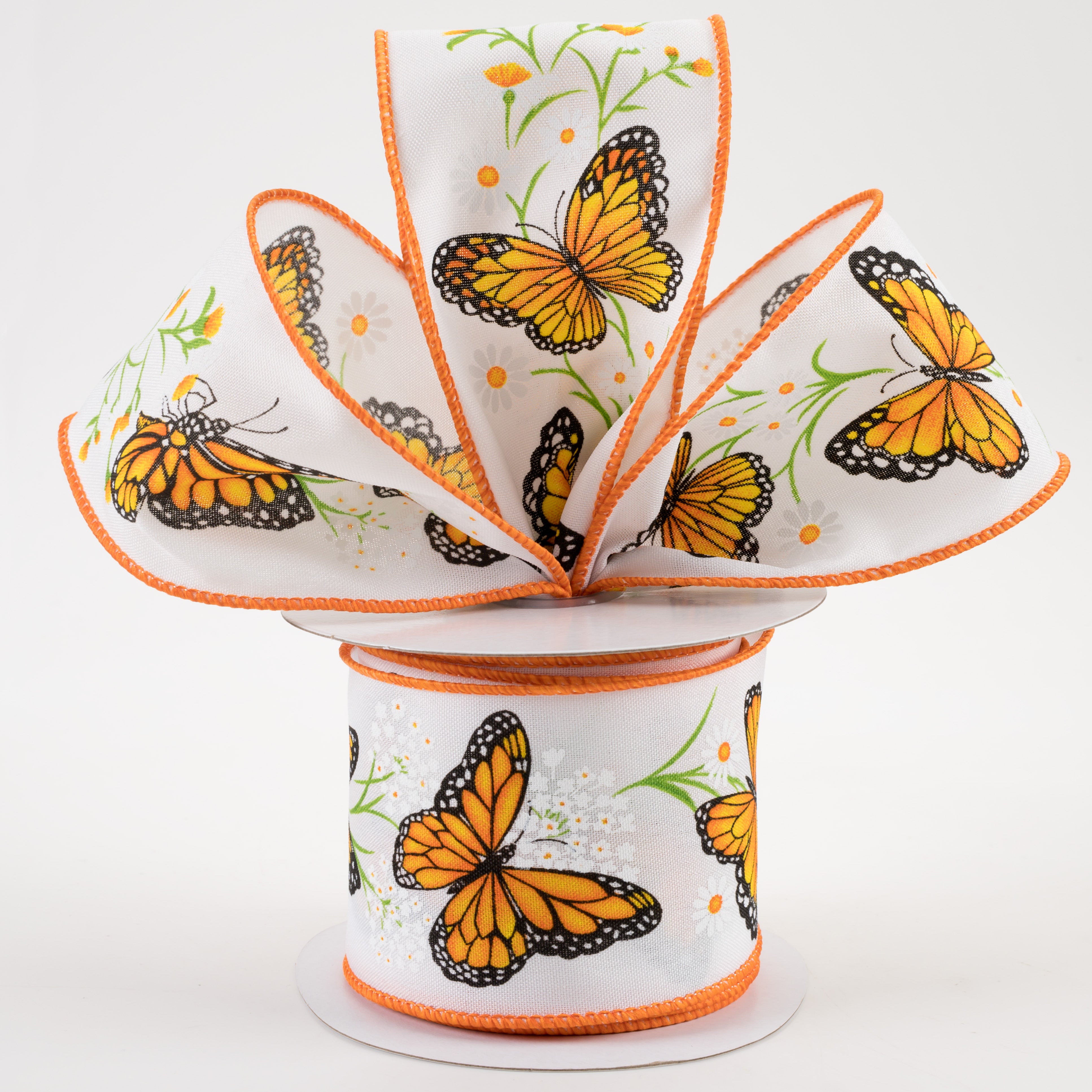 Daisies and Monarch retailer Butterfly