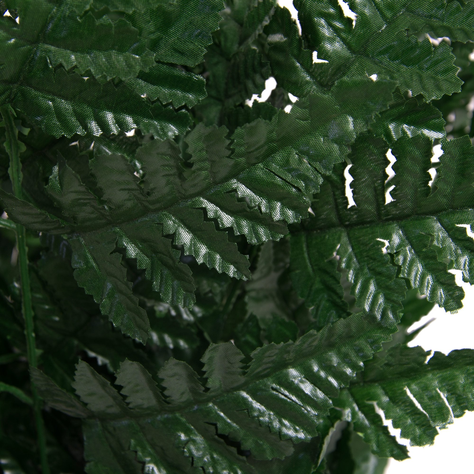 216 STEMS OF MEMORIAL SILK high quality LEATHER FERN