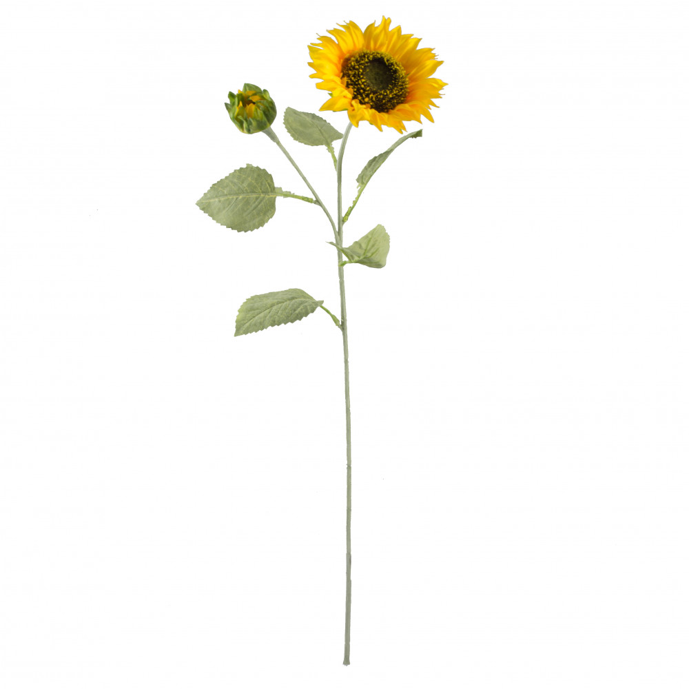 Free Free 88 Clipart Sunflower Stem SVG PNG EPS DXF File