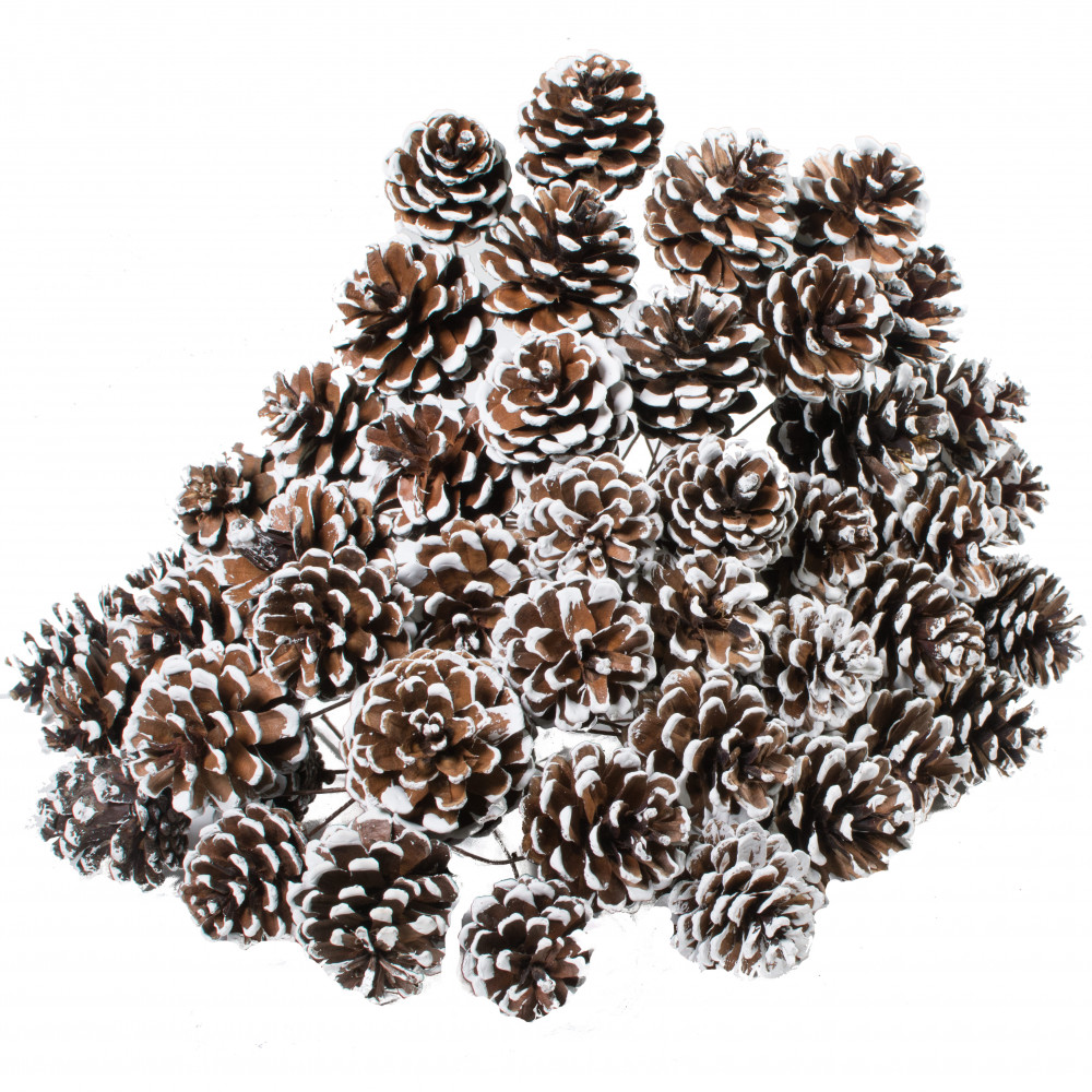 2.5 Pine Cone on Pick: Lacquer Finish (Bag of 50)