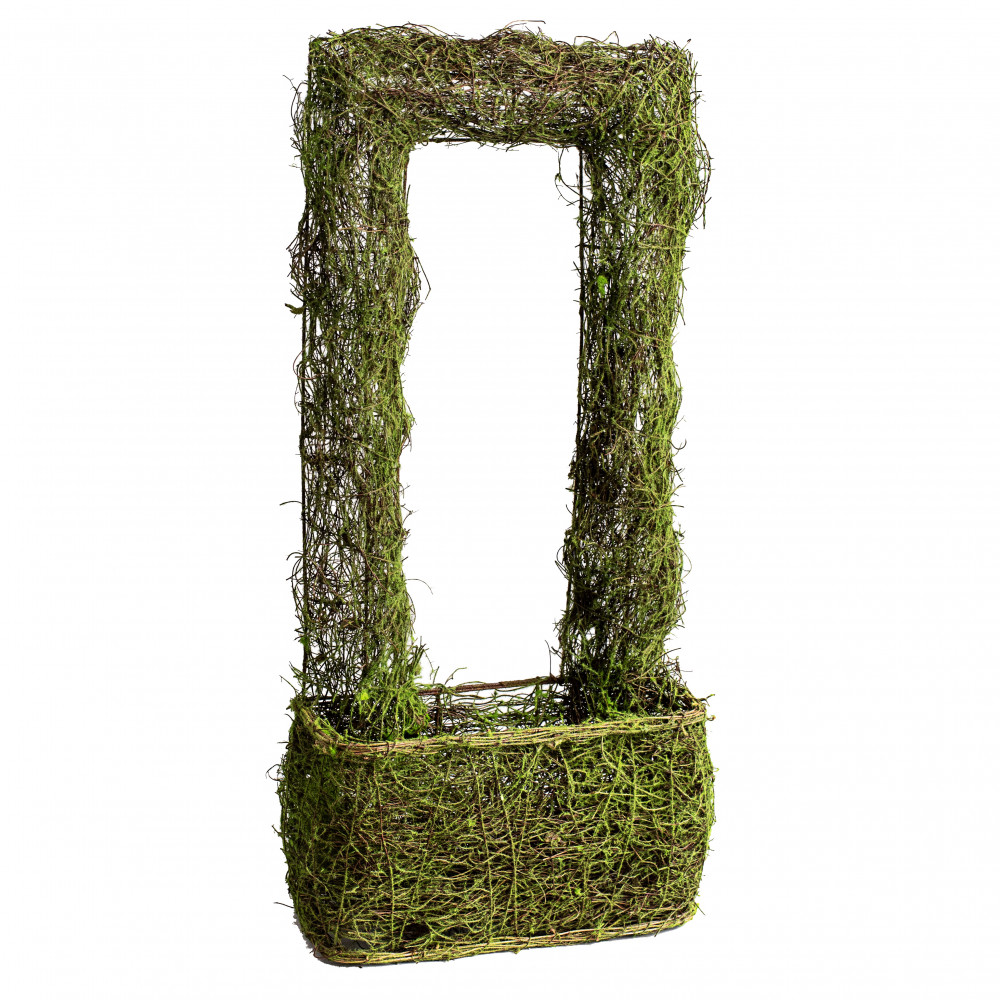 DIY Moss Potted Plant Decorative Cover for Basket, …love Maegan