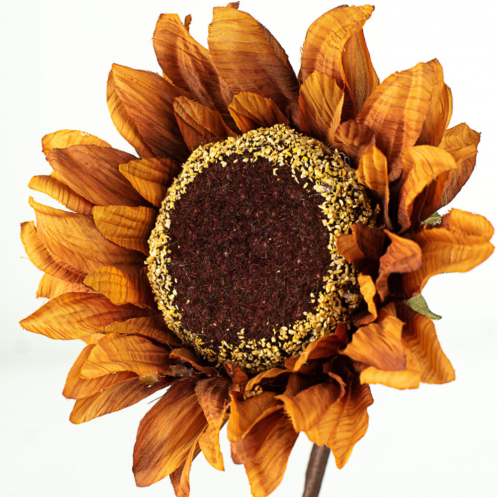 Sunflowers Brown, Shades of the Season