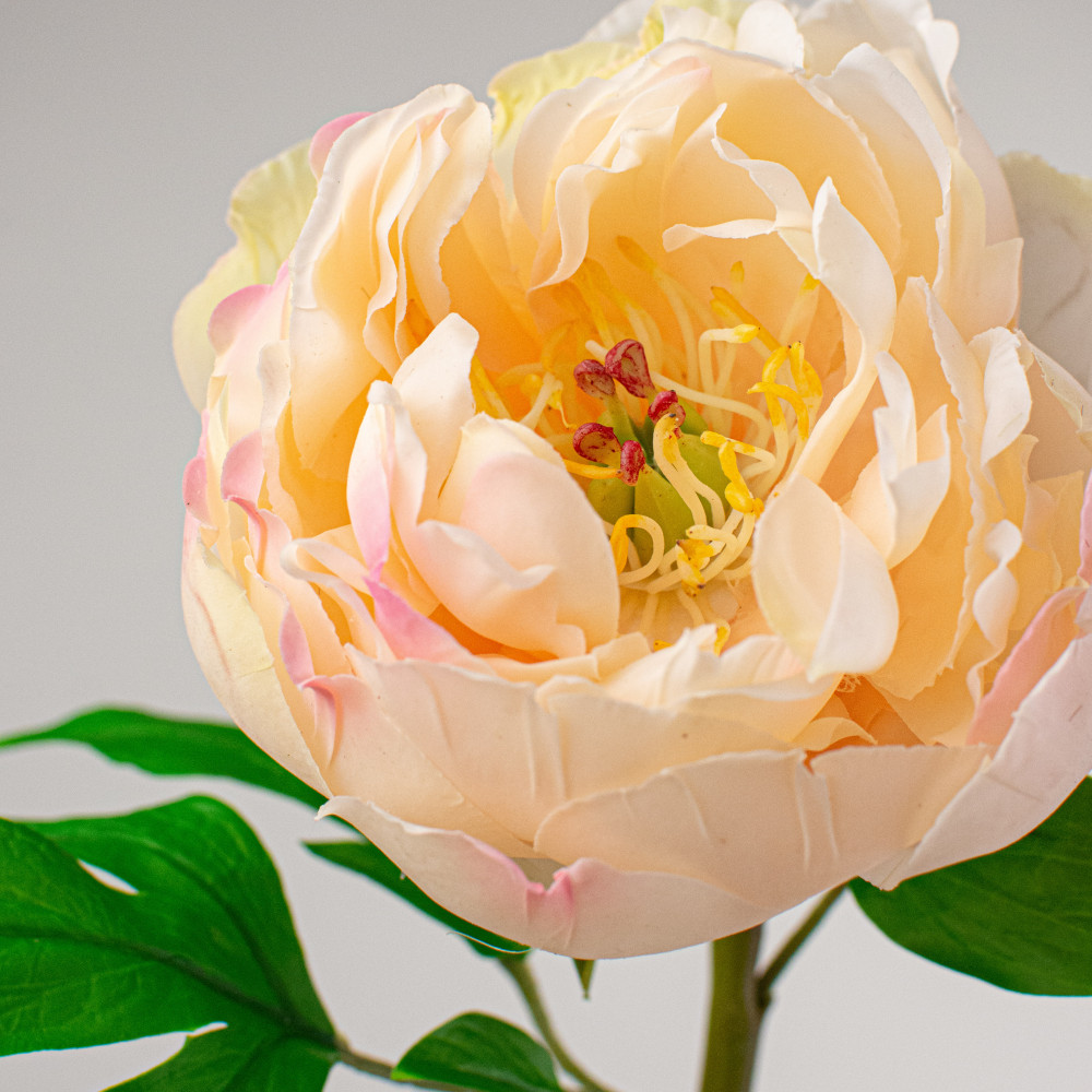 26 Real Touch Peony Stem: Pink & Cream