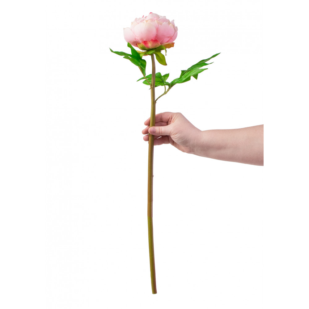 26 Real Touch Peony Stem: Pink