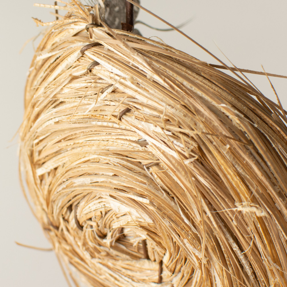 4 Bird Nest by Ashland®
