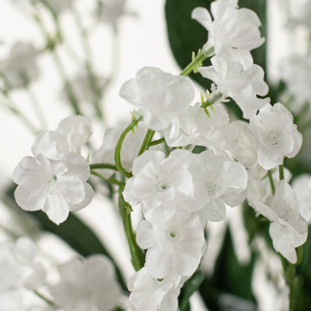 babys-breath-pastel-colors-min-canada.jpg