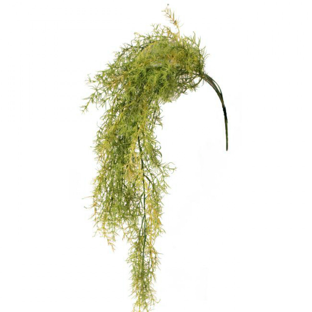6' Asparagus Fern Garland